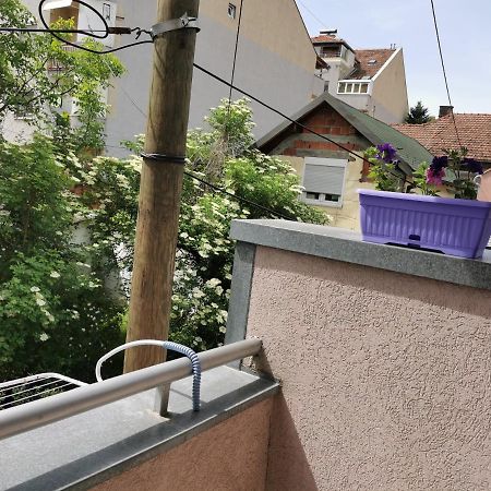 Apartmani Milica Kruševac Exteriér fotografie